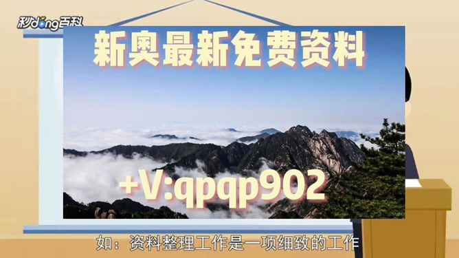 2024新奥正版资料免费提供，绝对经典解释落实_VIP62.100.1