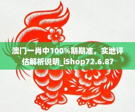 澳门一肖中100%期期准，实地评估解析说明_iShop72.6.87