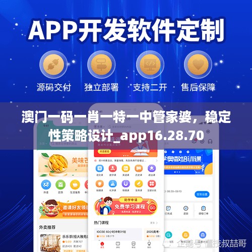 澳门一码一肖一特一中管家婆，稳定性策略设计_app16.28.70