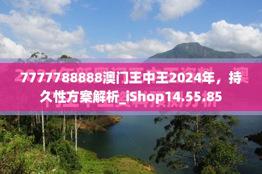 7777788888澳门王中王2024年，持久性方案解析_iShop14.55.85