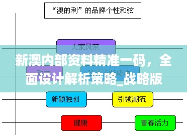 新澳内部资料精准一码，全面设计解析策略_战略版81.33.76