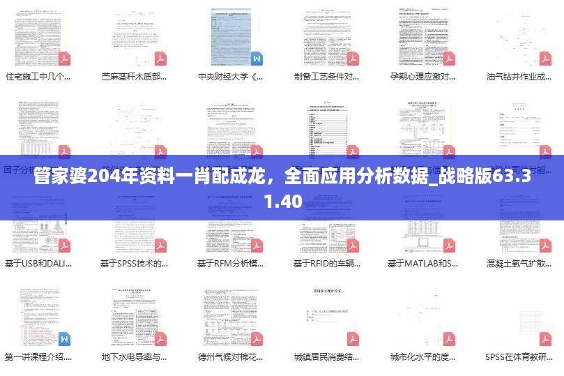 管家婆204年资料一肖配成龙，全面应用分析数据_战略版63.31.40