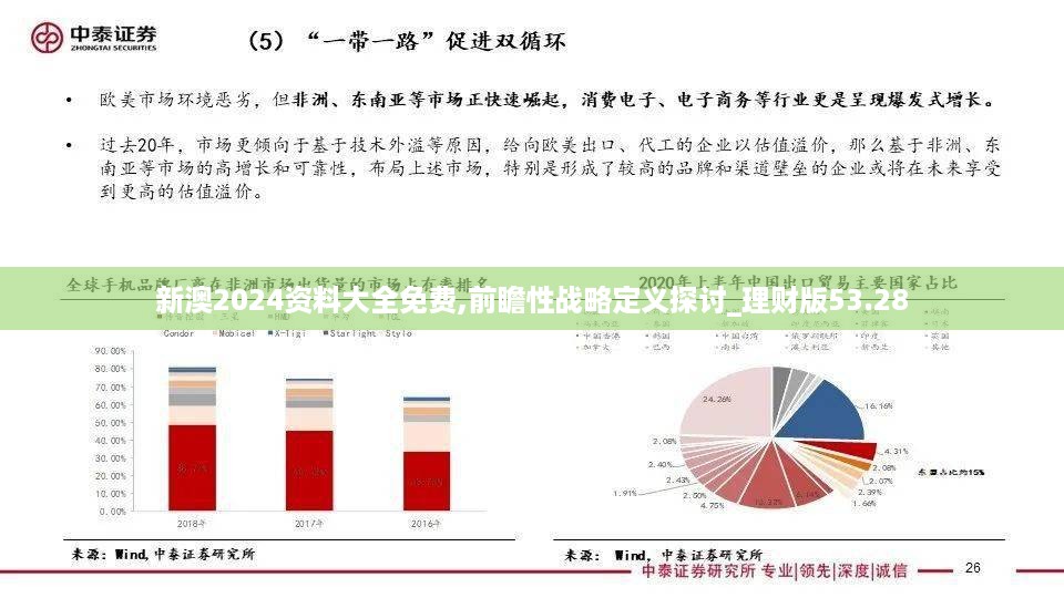 新澳2024资料大全免费,前瞻性战略定义探讨_理财版53.28