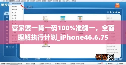 管家婆一肖一码100%准确一，全面理解执行计划_iPhone46.6.75