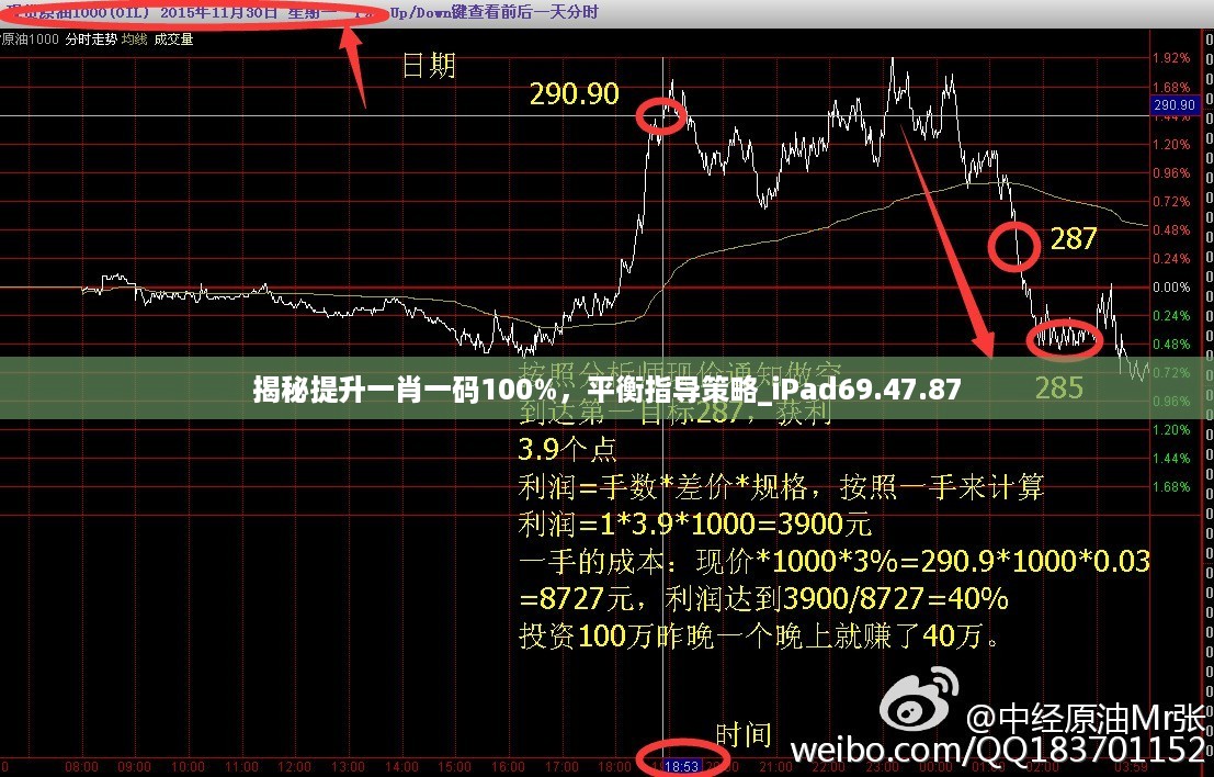 揭秘提升一肖一码100%，平衡指导策略_iPad69.47.87