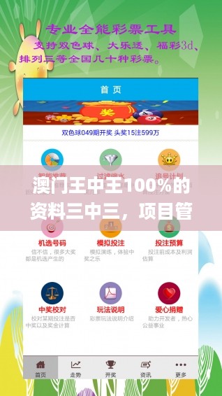 澳门王中王100%的资料三中三，项目管理推进方案_GM版25.91.28