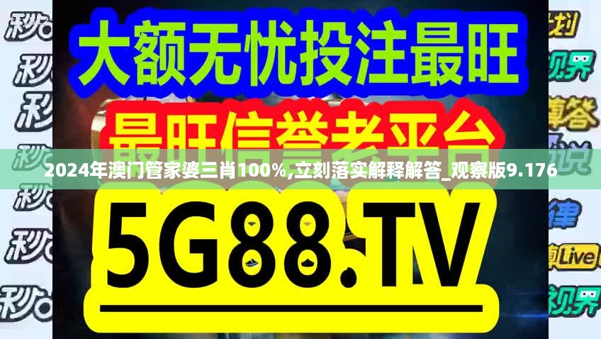 2024年澳门管家婆三肖100%,立刻落实解释解答_观察版9.176