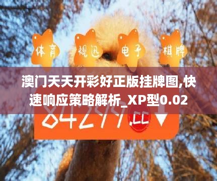 澳门天天开彩好正版挂牌图,快速响应策略解析_XP型0.02