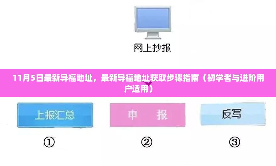 11月5日最新导福地址获取指南，适合初学者与进阶用户的步骤教程