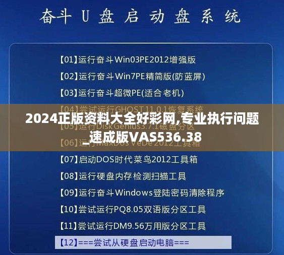 2024正版资料大全好彩网,专业执行问题_速成版VAS536.38