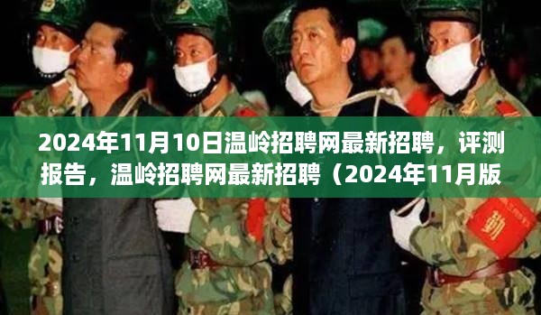 2024年温岭招聘网最新招聘信息及评测报告（全面解析）