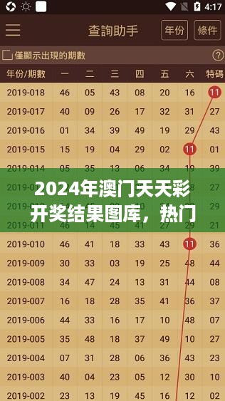 2024年澳门天天彩开奖结果图库，热门问题解答：RBN764.88版