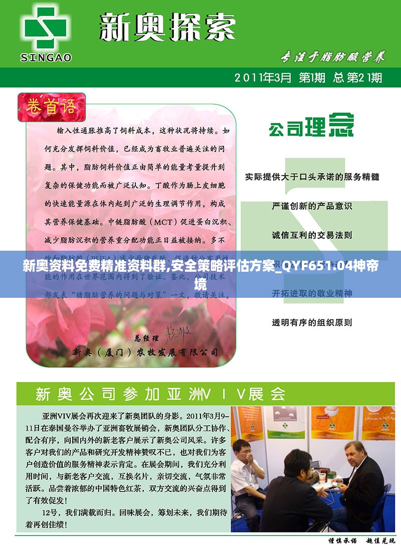 新奥资料免费精准资料群,安全策略评估方案_QYF651.04神帝境