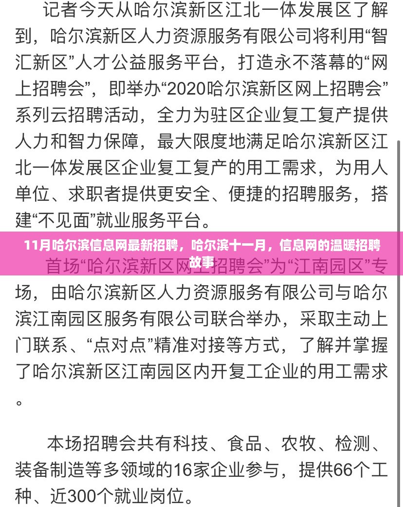 哈尔滨信息网十一月最新招聘，温暖招聘故事