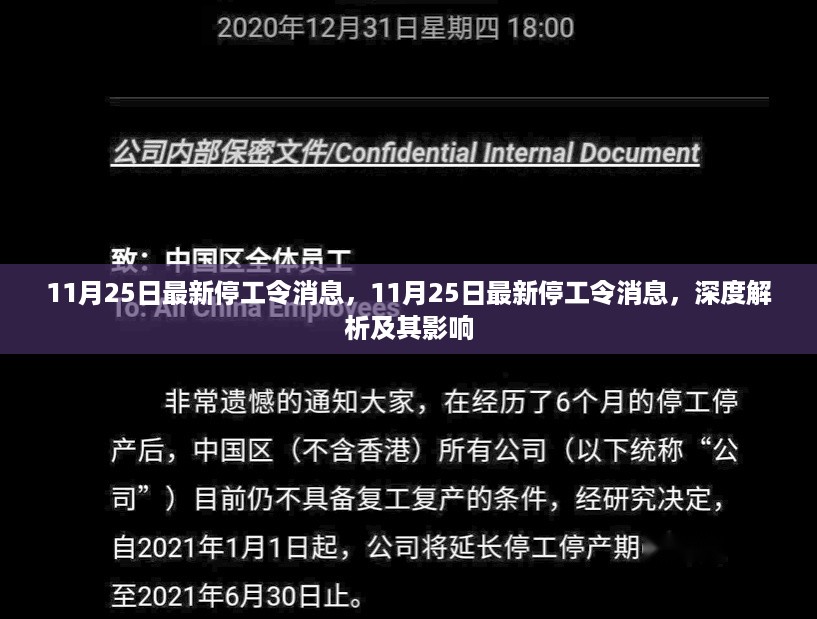 深度解析，最新停工令消息及其影响