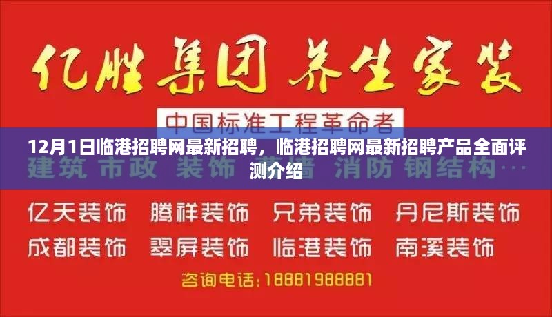 临港招聘网最新招聘及产品全面评测介绍（12月1日）