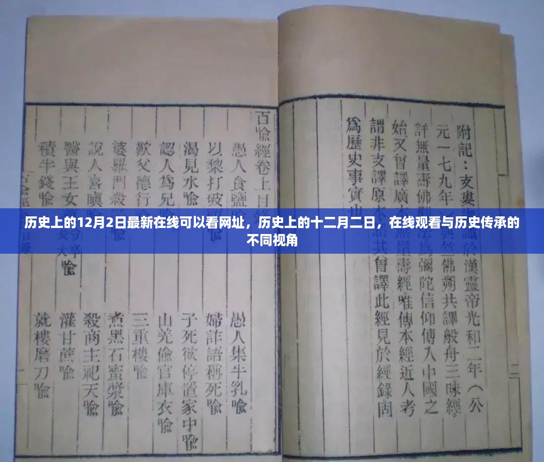 历史上的十二月二日，在线观看与历史传承的独特视角揭秘最新可观看网址