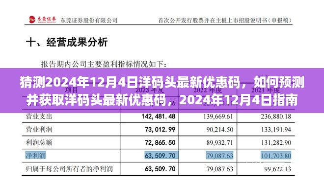 2024年12月4日洋码头优惠码预测与获取指南