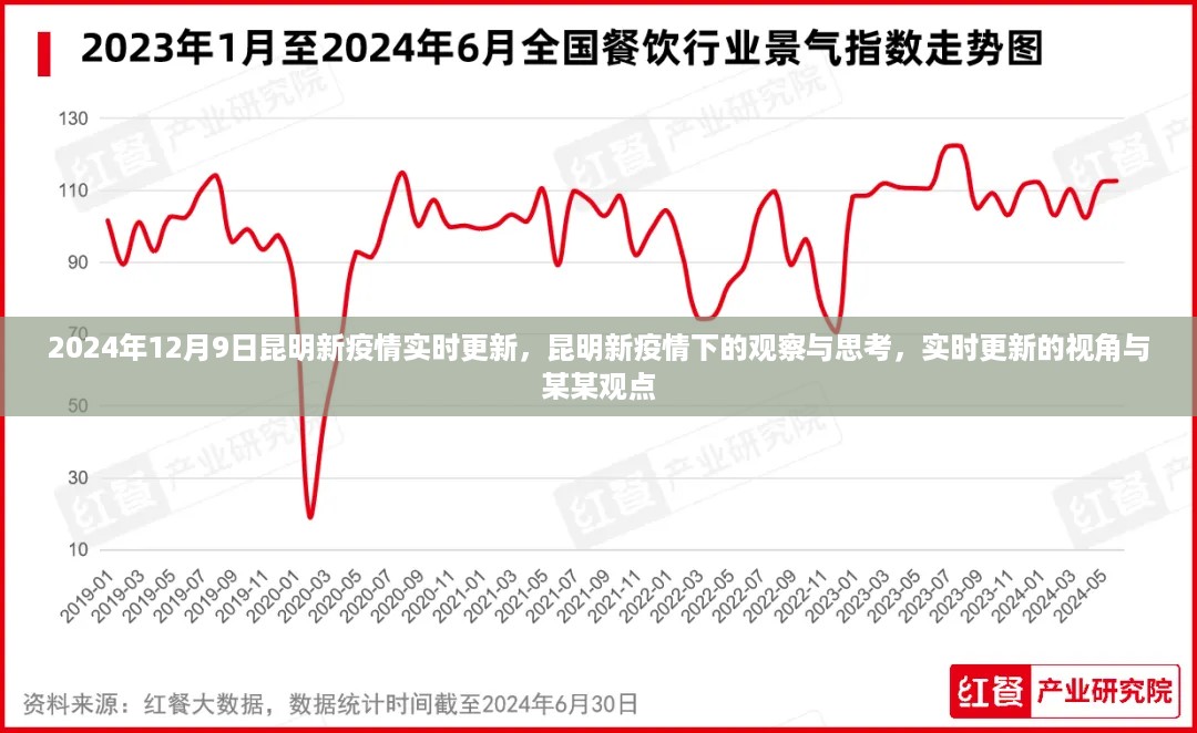 昆明新疫情下的观察与思考，实时更新视角与专家观点分析