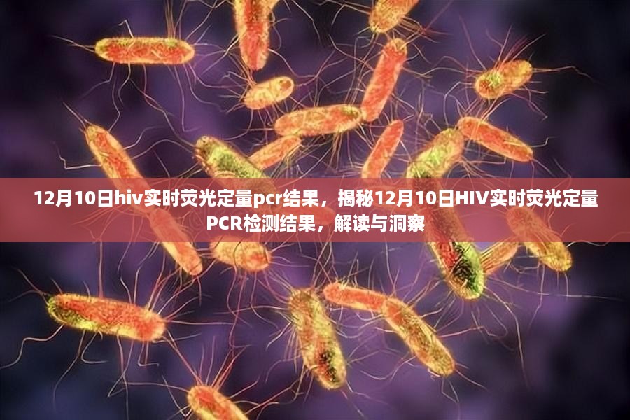 HIV实时荧光定量PCR检测结果解读与洞察，12月10日报告揭秘