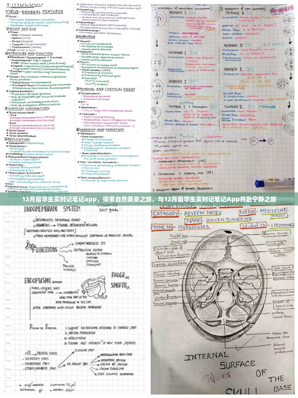 12月留学生实时笔记App，探索自然美景，共赴宁静之旅