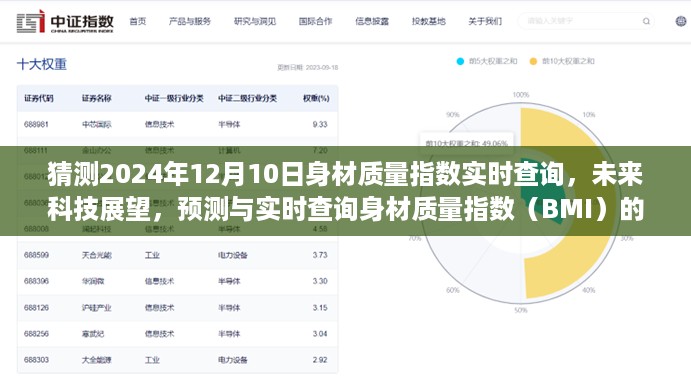 未来科技展望，身材质量指数（BMI）实时查询的可行性探讨与预测