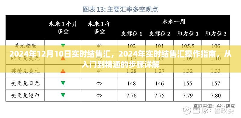 2024年实时结售汇操作指南，从入门到精通的步骤详解