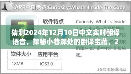 探秘未来，实时语音翻译之旅，揭秘小巷深处的宝藏，展望2024年中文实时语音翻译新纪元