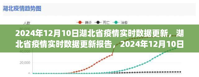 2024年12月10日湖北省疫情深度观察，实时数据更新与报告