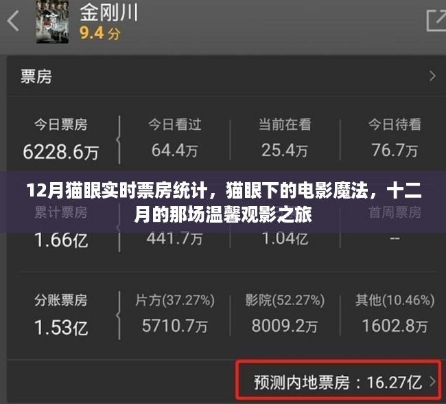 十二月猫眼下的电影魔法，实时票房统计与温馨观影之旅
