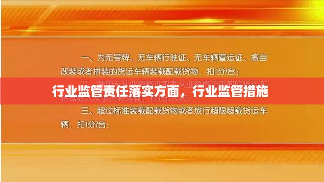 行业监管责任落实方面，行业监管措施 