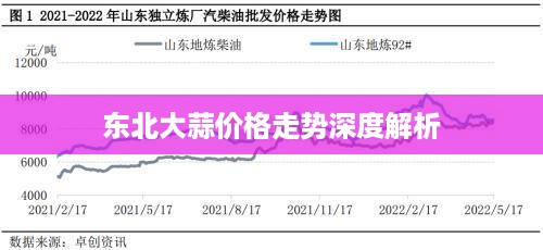 东北大蒜价格走势深度解析