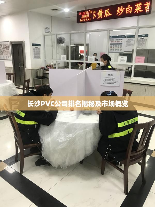 长沙PVC公司排名揭秘及市场概览