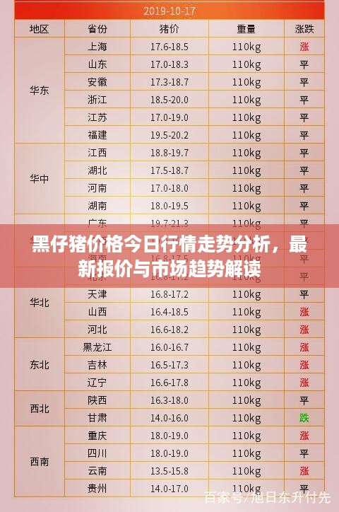 黑仔猪价格今日行情走势分析，最新报价与市场趋势解读