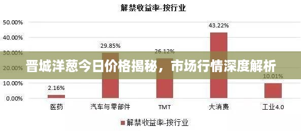 晋城洋葱今日价格揭秘，市场行情深度解析