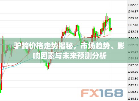 驴蹄价格走势揭秘，市场趋势、影响因素与未来预测分析