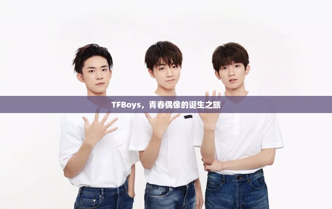 TFBoys，青春偶像的诞生之旅