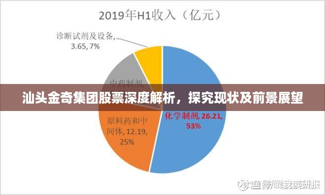 汕头金奇集团股票深度解析，探究现状及前景展望