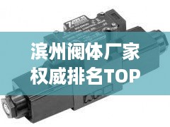 滨州阀体厂家权威排名TOP10，行业领军品牌一览！