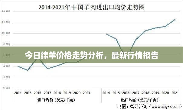 今日绵羊价格走势分析，最新行情报告