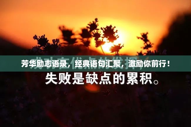 芳华励志语录，经典语句汇聚，激励你前行！