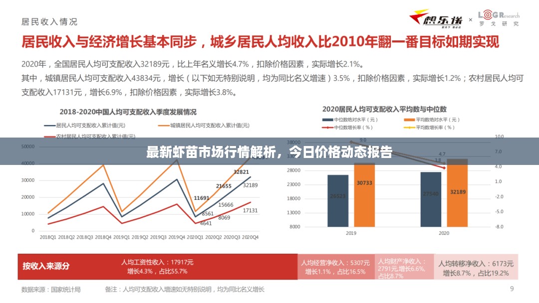 最新虾苗市场行情解析，今日价格动态报告