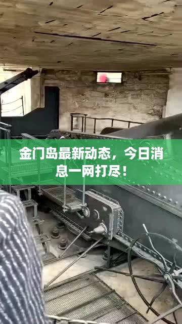 金门岛最新动态，今日消息一网打尽！